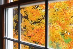 Home Needs Roll-Down Shutters